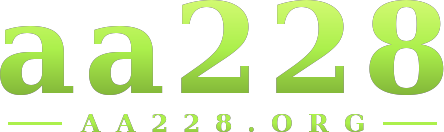 aa228 logo